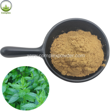 High Quality Plant Extract Peppermint Leaf Extract Powder